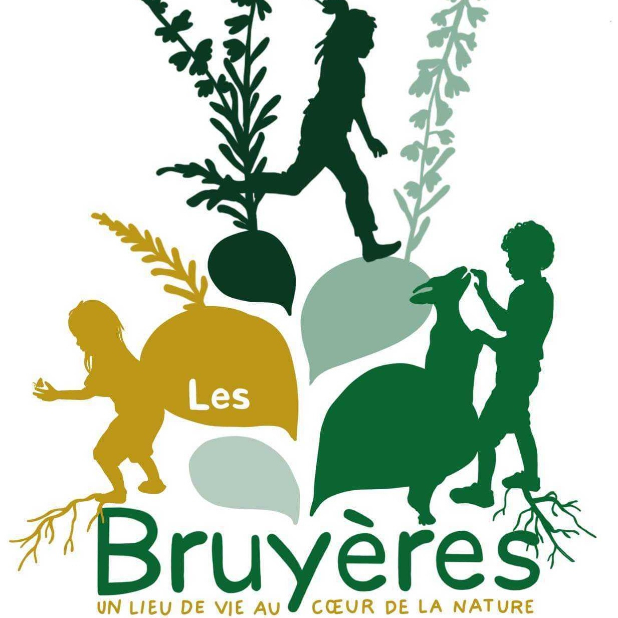 Photo de profil - Centre Les Bruyères