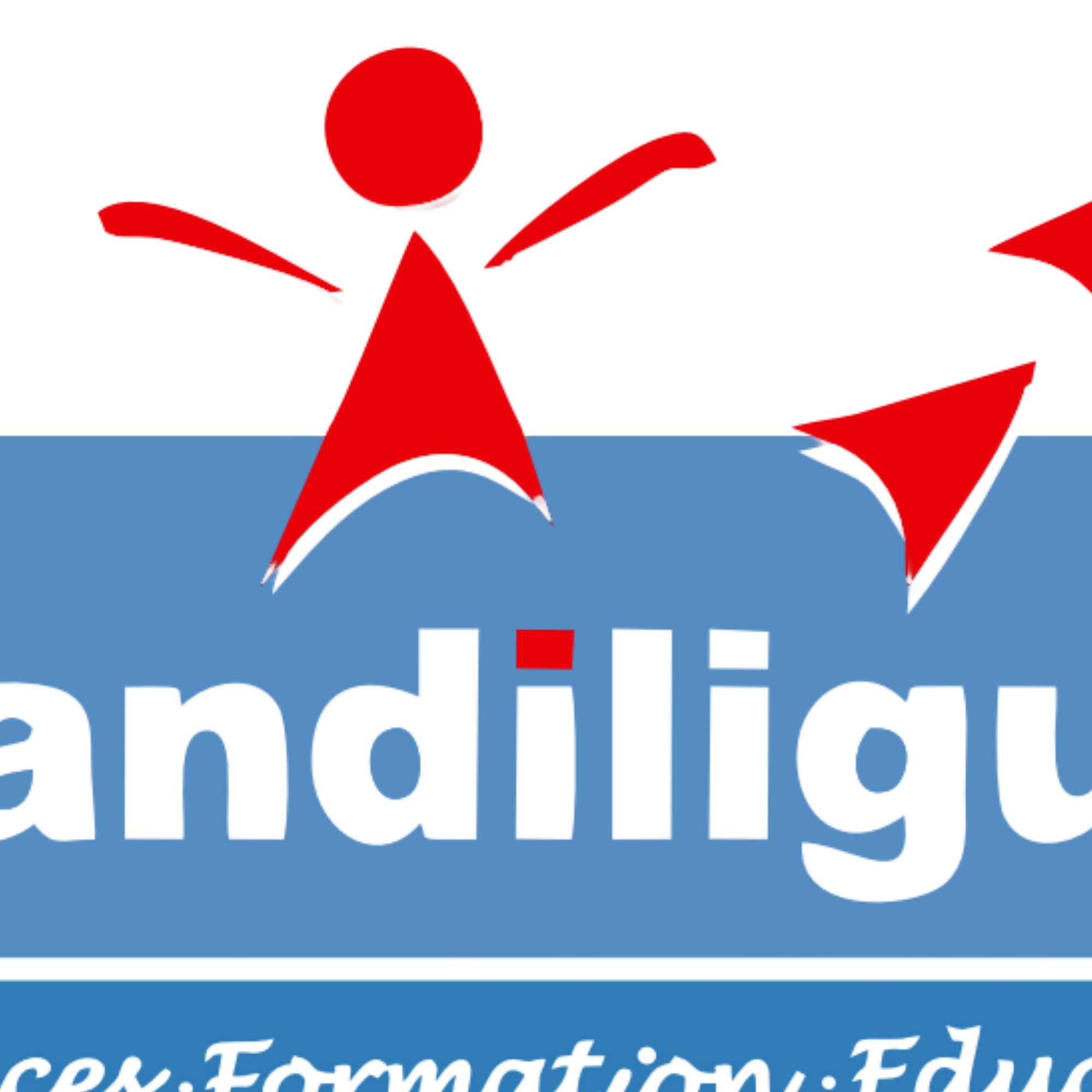 Photo de profil - Handiligue