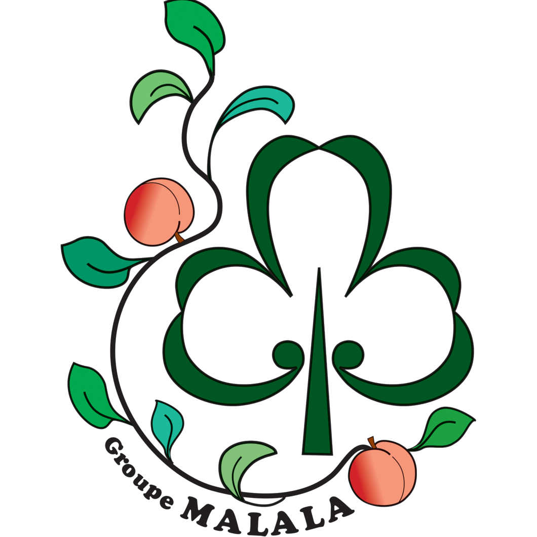 Photo de profil - Éclaireuses et Éclaireurs Laïques de l'Est Parisien (EELEP)