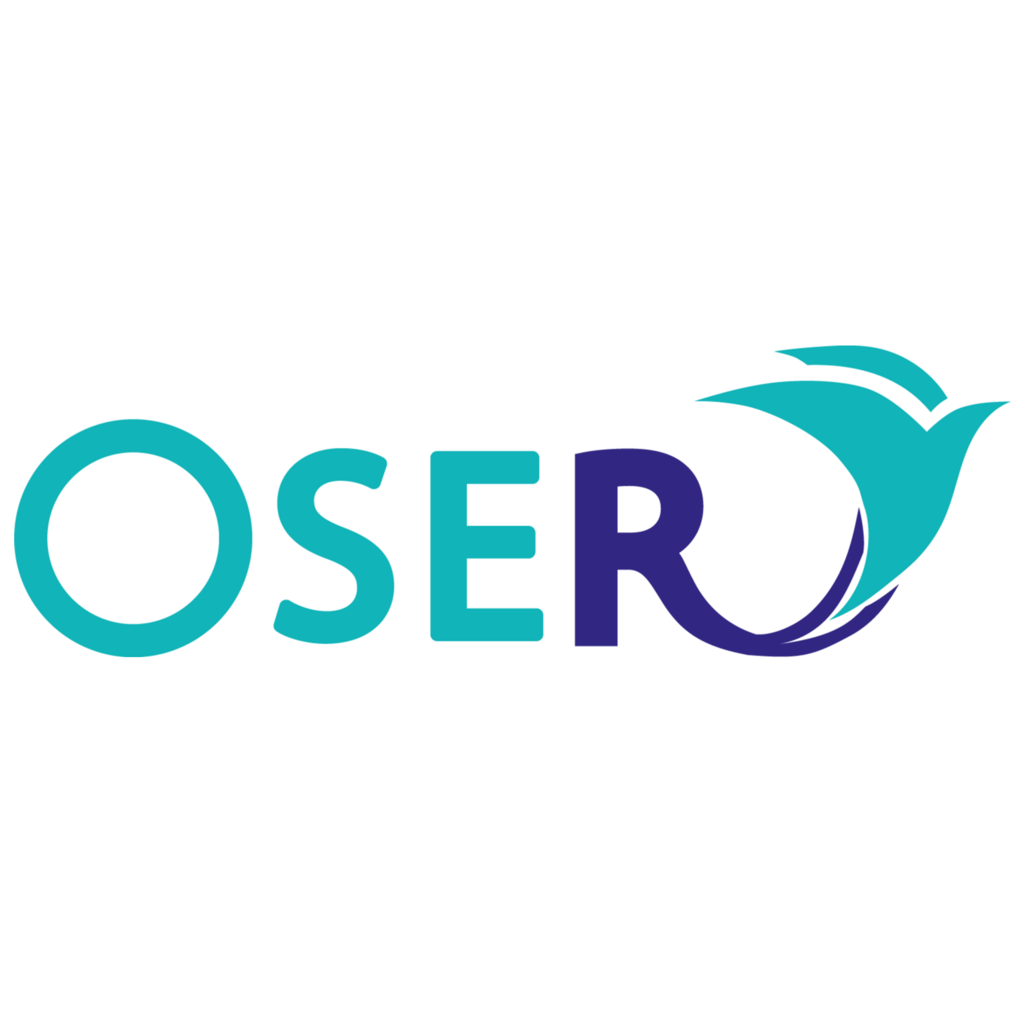 Photo de profil - OSER